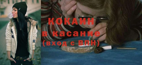 ешки Алексин