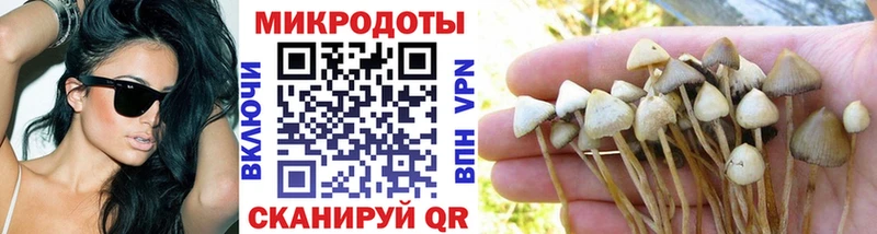 Галлюциногенные грибы Psilocybine cubensis Верхоянск